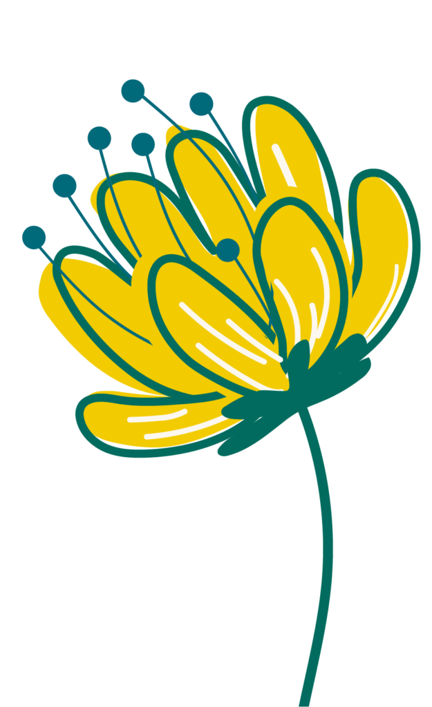 Créons votre site internet ensemble 3 Sire Cui Court l fleur accueil